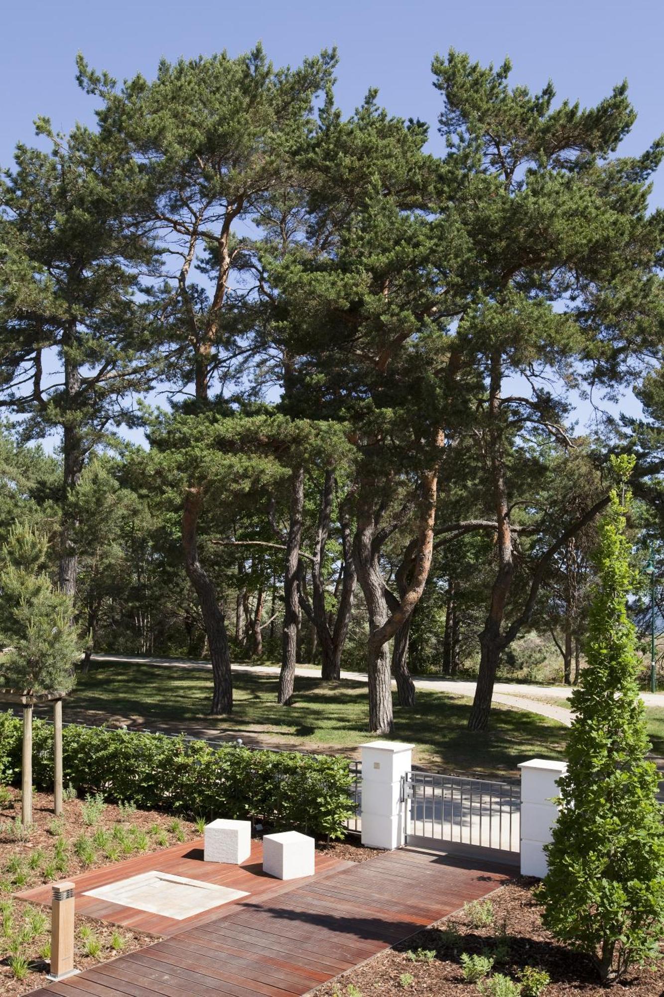 Steigenberger Grandhotel & Spa Heringsdorf Buitenkant foto Pines in the park